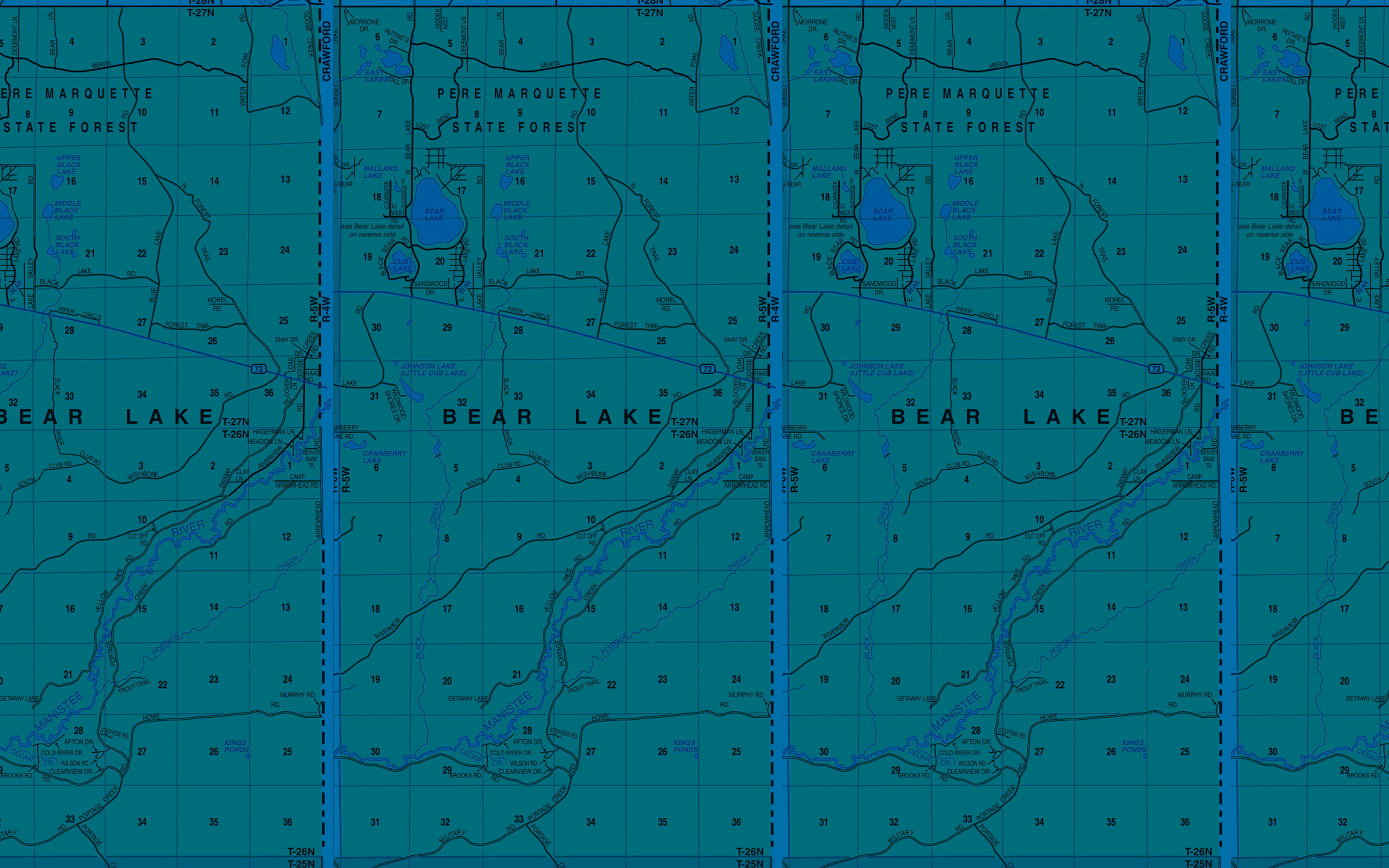 Bear Lake Township